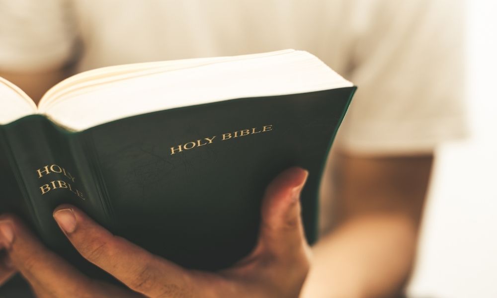 The Difference Between a Study Bible and a Regular Bible