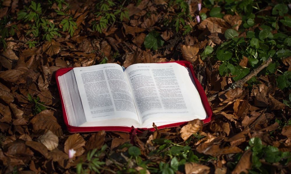 4 Ways To Use Wide Margin Bibles for In-Depth Study