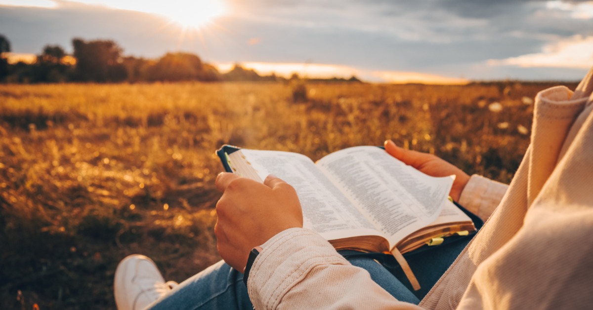 A person sits in a field holding an open Bible. The low sun spreads golden light, and trees are in the distance.