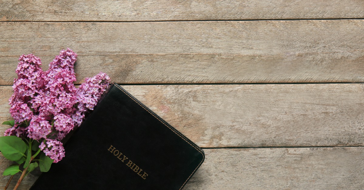 A closed Holy Bible lies diagonally across wooden boards. A cluster of lilacs with green leaves lies beside the Bible.
