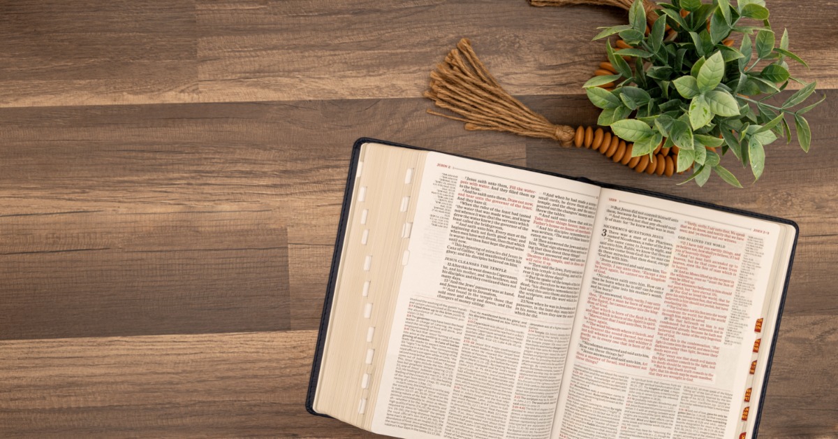 An open Bible on a wooden surface features ribbon markers and red text. A small green plant is near the Bible.