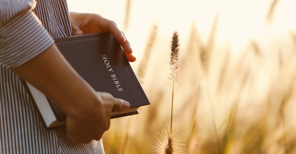 A person holds a black Holy Bible at their side. They stand in a sunlit field of tall grasses with seed heads.